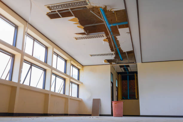 Best Sewage cleanup and water damage restoration  in Bonny Doon, CA
