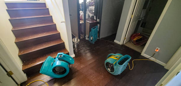 Best Commercial water damage restoration  in Bonny Doon, CA