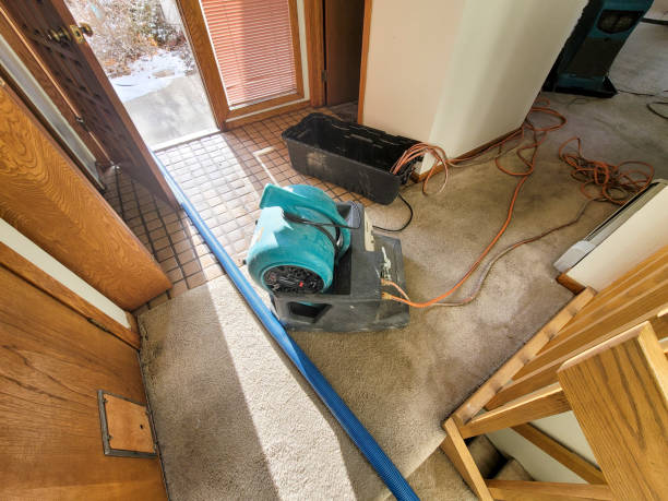 Best Carpet water damage restoration  in Bonny Doon, CA