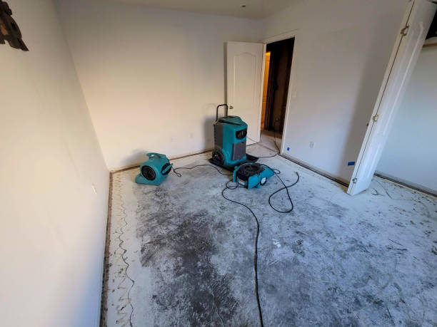 Best Emergency water damage restoration  in Bonny Doon, CA