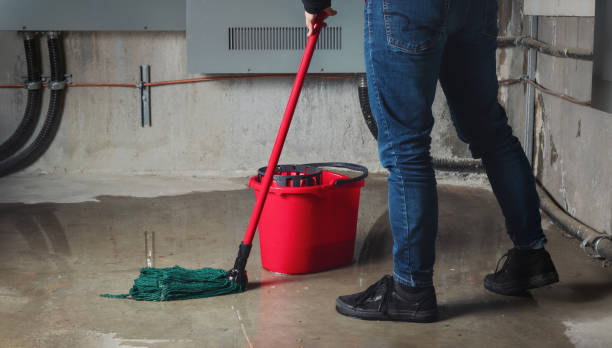 Best Residential water damage restoration  in Bonny Doon, CA