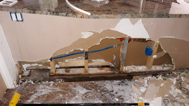 Best Flood restoration services  in Bonny Doon, CA