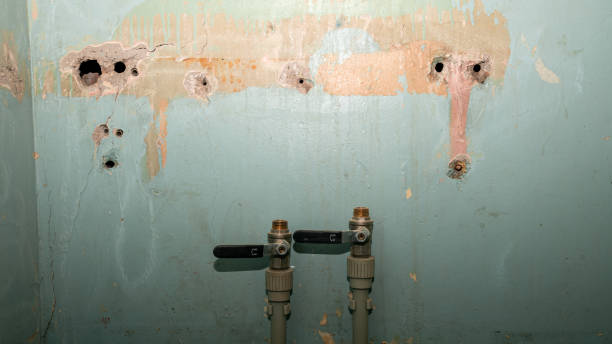 Best Water damage restoration near me  in Bonny Doon, CA