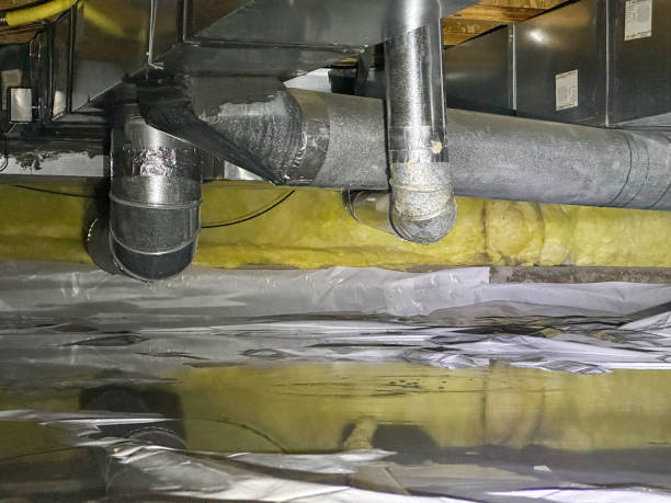 Best Professional water damage repair  in Bonny Doon, CA