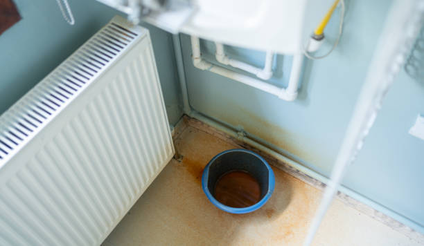 Best Local water damage restoration  in Bonny Doon, CA