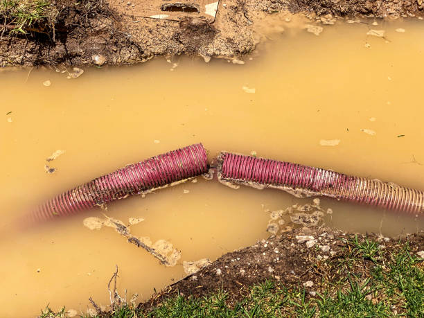 Best Water damage restoration near me  in Bonny Doon, CA