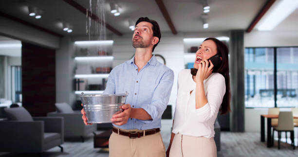 Best Water damage restoration near me  in Bonny Doon, CA