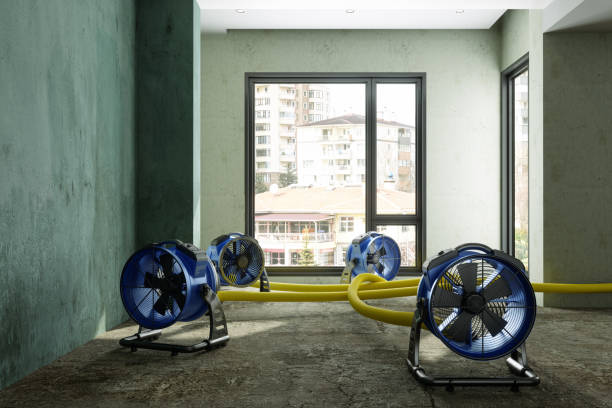 Best Water damage cleanup near me  in Bonny Doon, CA
