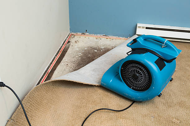 Best Ceiling water damage repair  in Bonny Doon, CA